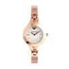 Emporio Armani Ladies Watch AR7329 Mother Of Pearl