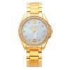 Coach 14501657 Tristen Ladies Gold Plated Stainless Steel Round Watch