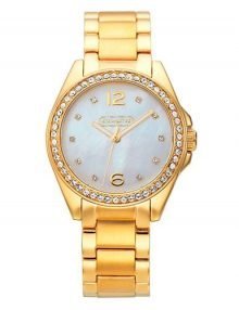 Coach 14501657 Tristen Ladies Gold Plated Stainless Steel Round Watch