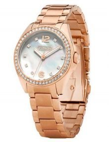 Coach 14501662 Tristen Ladies Rose Gold Plated Round Watch