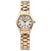 Emporio Armani AR0699 Classic Ladies Gold Plated Stainless Steel Watch