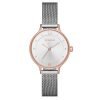 Skagen SKW1069 Anita Ladies Rose Gold Plated Round Watch