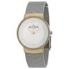 Skagen SKW2076 Klassic Ladies Gold Plated Stainless Steel Round Watch