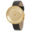Skagen SKW2262 Gitte Ladies Gold Plated Stainless Steel Round Watch