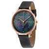 Skagen SKW2390 Anita Ladies Rose Gold Plated Round Watch