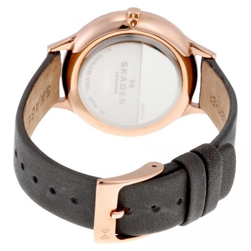 Skagen Anita Skw2390 Multicolor Classic Women's Watch-16750