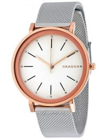Skagen Hald skw2506 women's stainless steel watch