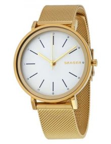 Skagen Hald skw2509 women's stainless steel watch